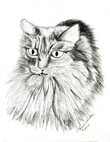Lilibelle