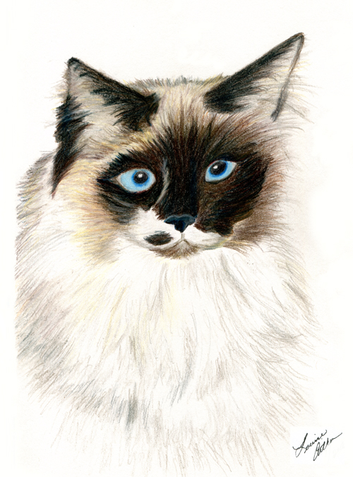 Simon